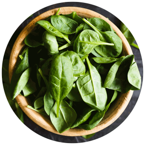 Spinach PNG-79171